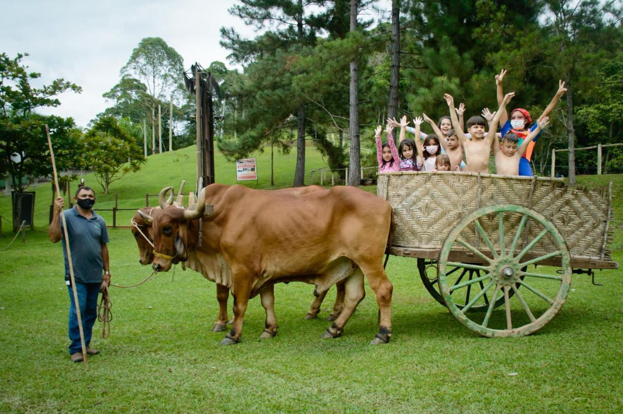 Hotel Fazenda Chiminelli Cachoeiras de Macacu Dış mekan fotoğraf